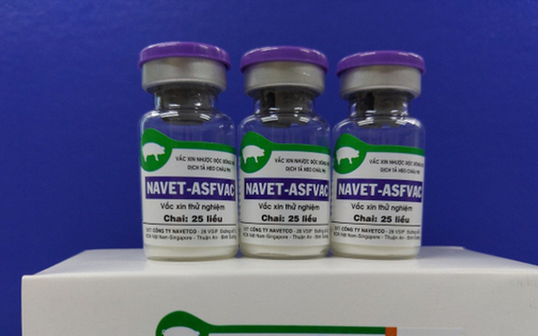 Việt Nam là nước đầu tiên lưu hành thương mại vaccine tả lợn châu Phi